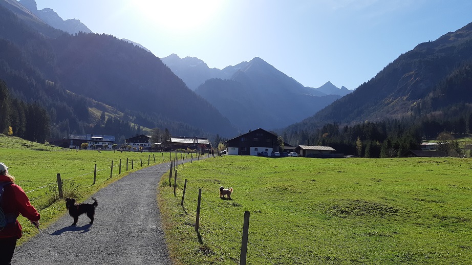 Obermaiselstein 2019 (5)